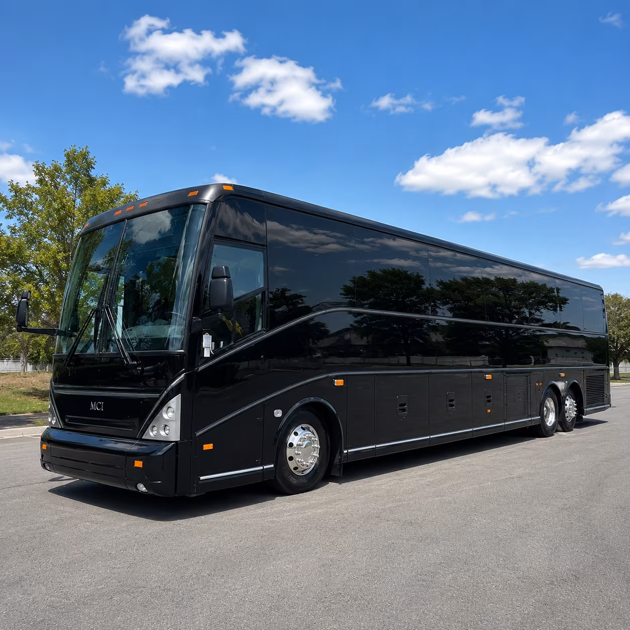 toledo zoo lights zoo group transportation